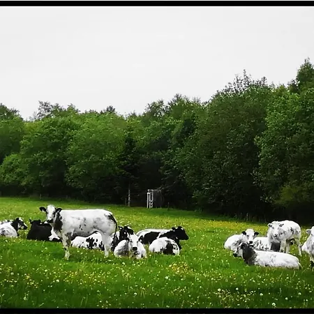 度假居 L'ancienne Forge - A La Ferme Sainte-Marie