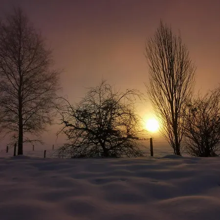 L'ancienne Forge - A La Ferme